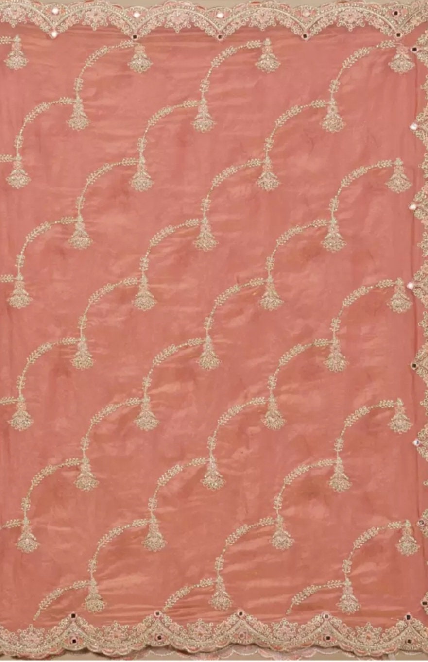 Peach Colored Floral Embroidered Zari Tissue Saree with Elegant Gold Tones FREE Matching Petticoat Perfect for Weddings Pooja Bridal Wear